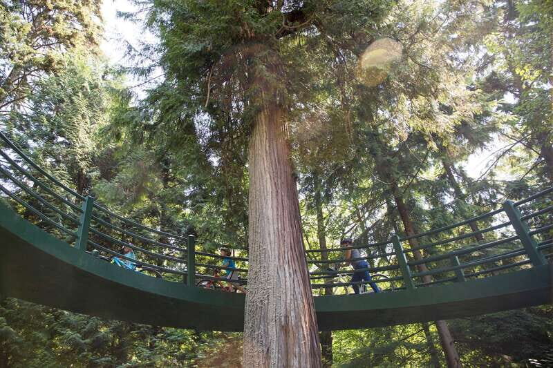 Vancouver: Stanley Park Bicycle Tour - Exploring Vancouver’s Best on Two Wheels