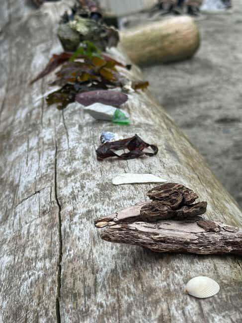 Vancouver: Stanley Park Salish Sea & Me - An In-Depth Look at the Tour Experience