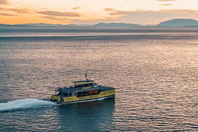 Vancouver Sunset Whale Watching Adventure with Free Photos - The Sum Up