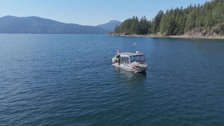 Vancouver UNESCO Biosphere Reserve Wildlife Scenic Boat Tour - What You Can Expect During the Tour