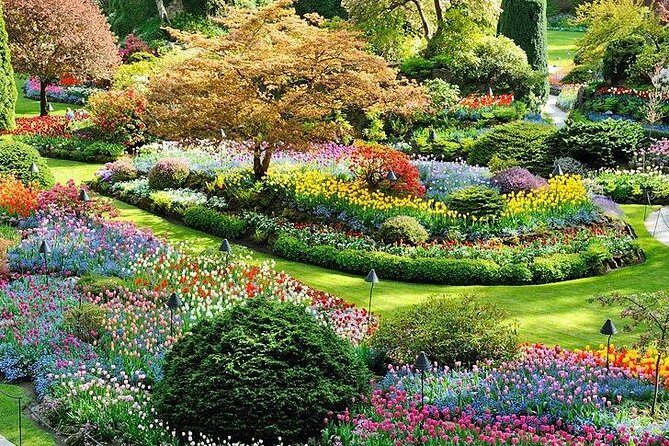 Vancouver, Victoria & Whistler 3 days in one Combo Tour. - Who Will Benefit Most from This Tour?