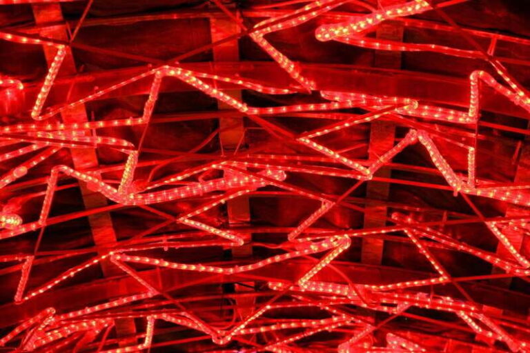 Vancouvers Festive Shoreline: A Christmas Walking Tour - What Makes This Tour Stand Out?