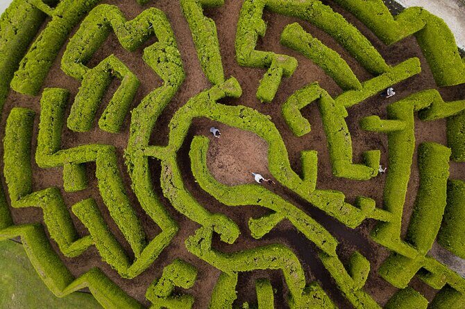 VanDusen Botanical Garden Admission Ticket - What Makes VanDusen Stand Out?