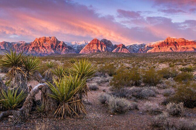 Vegas Strip and Red Rock Canyon Guided Trike or Slingshot Tour - A Closer Look at the Itinerary