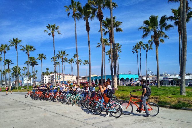 Venice Vibrations Public Bike Tour Experience - Authentic Experiences and Practical Details