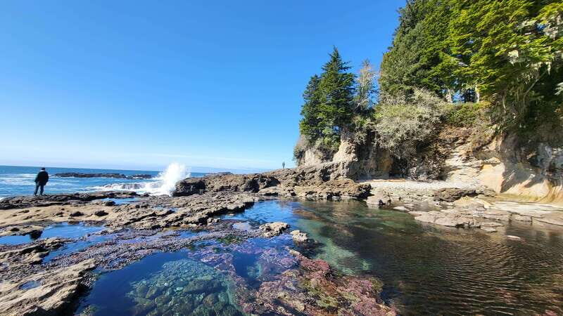 Victoria: 4-Day Tofino and Port Renfrew Tour with Flights - The Journey to Tofino