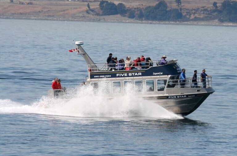 Victoria BC: 3 Hour Expedition Catamaran Whale Watching Tour - Authentic Reviews: What Travelers Are Saying