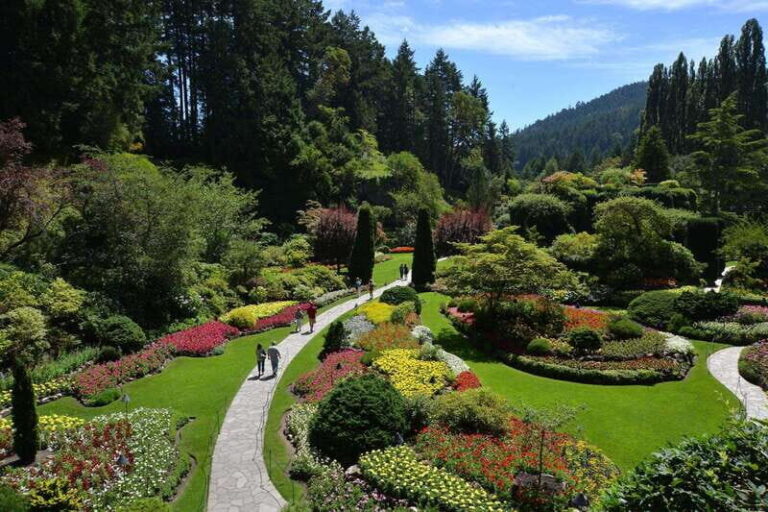Victoria: City Highlights and Butchart Gardens Tour - The Experience in Detail