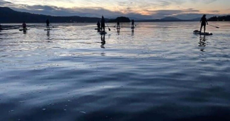 Victoria: Secret Beaches and Islands SUP Tour - Who Should Consider This Tour?