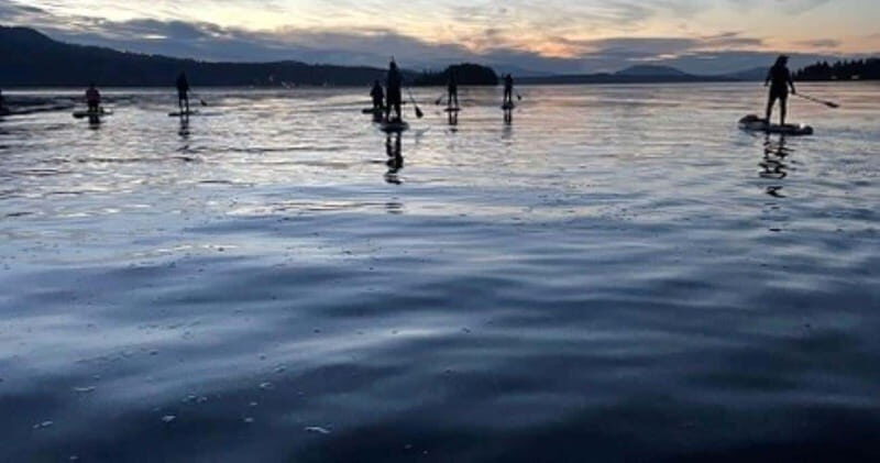 Victoria: Secret Beaches and Islands SUP Tour - Who Should Consider This Tour?