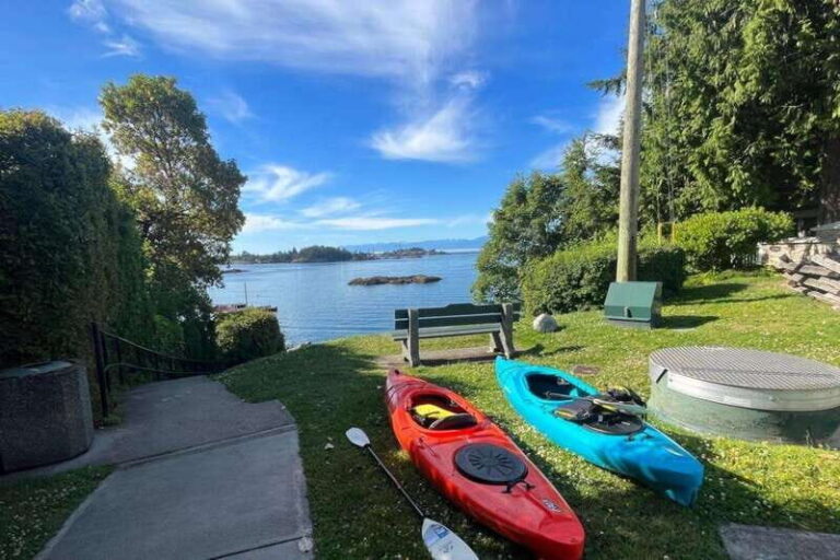 Victoria: Single Sea Kayak Rental - Who Will Love This Experience?