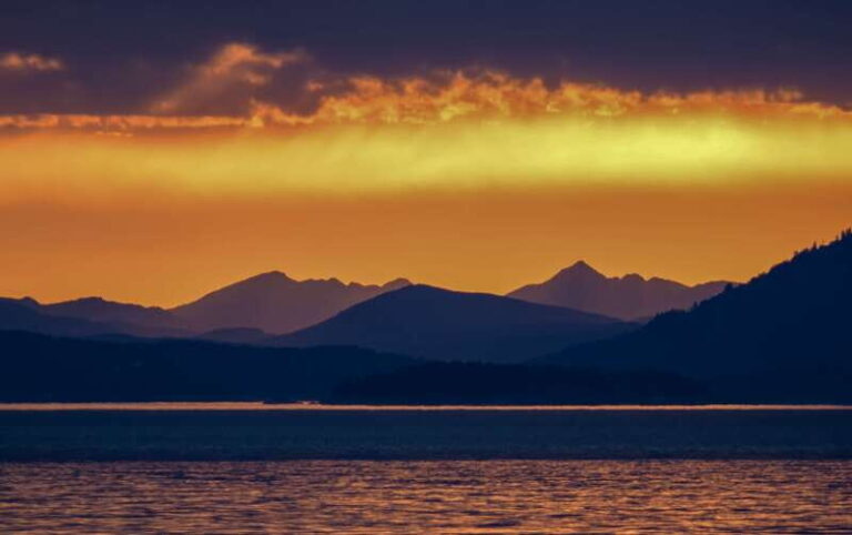 Victoria: Sunset Whale Watching Tour on an Open Scarab Boat - Who Is This Tour Best For?