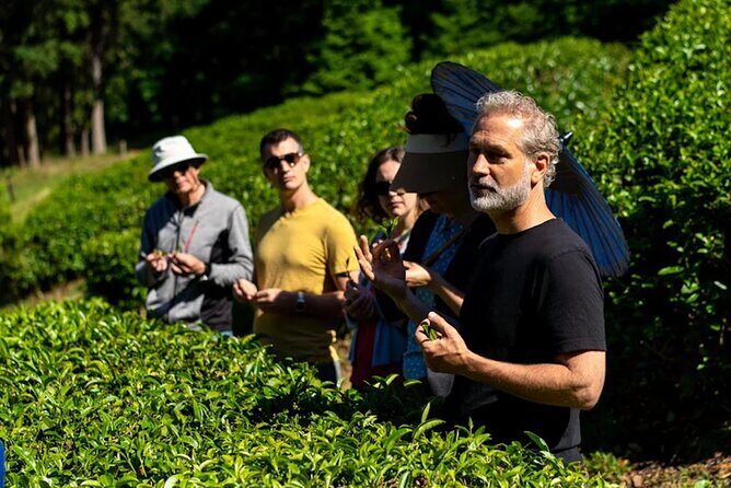 Victoria to Nanaimo Waterfall Wildlife Food Stops Along The Way - Who Will Love This Tour?