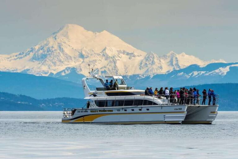 Victoria: Whale and Wildlife Semi-Covered Boating Tour - Who Should Consider This Tour?