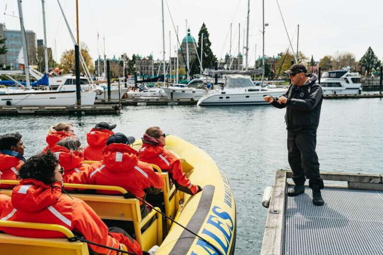 Victoria: Whale Watching Adventure in a Zodiac Boat - Authentic Experiences from Fellow Travelers