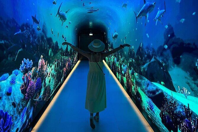 View At The Palm Admission Ticket - What Visitors Are Saying