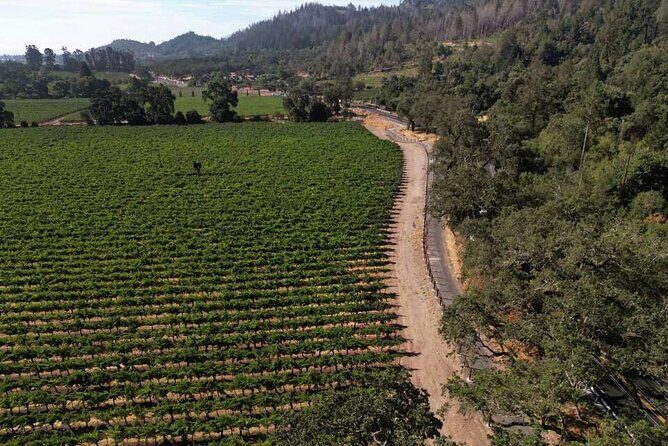 Vine Trail Discovery E-Bike Tour - Who Should Consider This Tour?