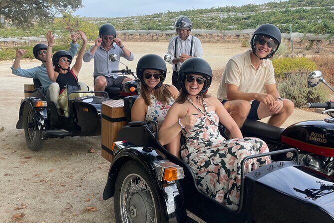 Vineyard Rides San Luis Obispo Sidecar Wine Adventure - Who Will Love This Tour?