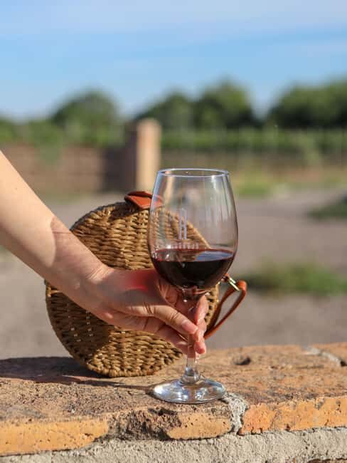 VINEYARD TOUR - Who Will Love This Tour?