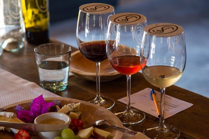 Vineyards, Wine Tasting and Pairing in San Miguel - Value and Cost Analysis