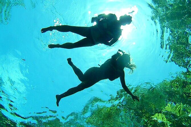 VIP Cenotes Private Tour (half-day) - Final Thoughts