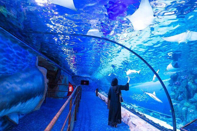 VIP Experience Dubai Aquarium & Underwater Zoo-As per Selection - FAQs