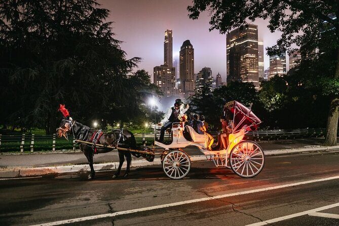 VIP Horse Carriage Ride through Central Park (Up to 4 Adults) - Who Will Love This Tour?