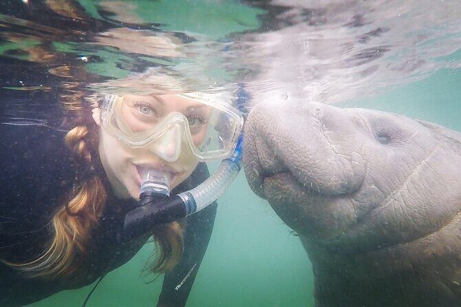 VIP Private Boat Manatee Snorkel Tour with In-Water Guide and Photograper - Authentic Experiences and Praises from Reviews