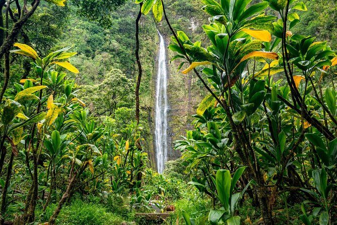VIP Private Road to Hana and Haleakala Sunset Tour - How the Tour Comes Together