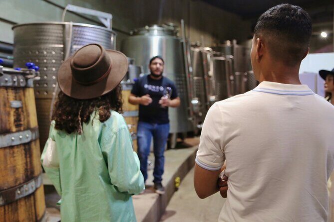 VIP Tasting - The Wines and the Experience