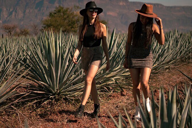 VIP Tequila Night Tour with Dinner and Tasting - Comfort and Transportation