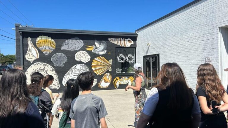 Virginia Beach: ViBe District Guided Walking Mural Tour - Who Should Consider This Tour?