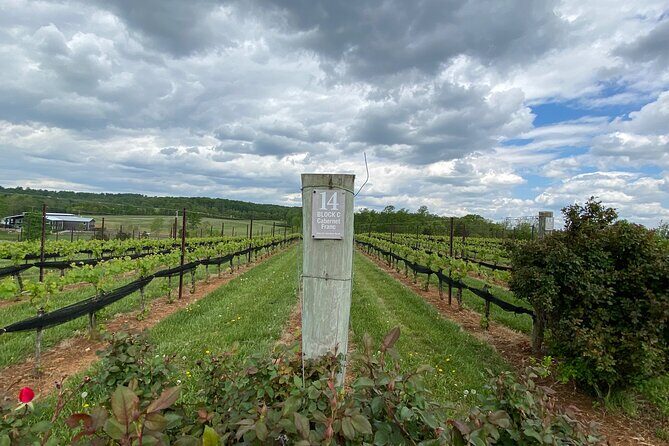 Virginia Wineries Tour - Final Thoughts