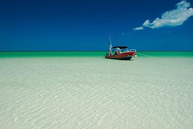 Visit Punta Mosquito in Holbox! From Cancun & Playa Del Carmen - What Travelers Are Saying