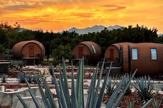 Visit to Matices Hotel de Barricas in Tequila Jalisco - Practicalities and Value