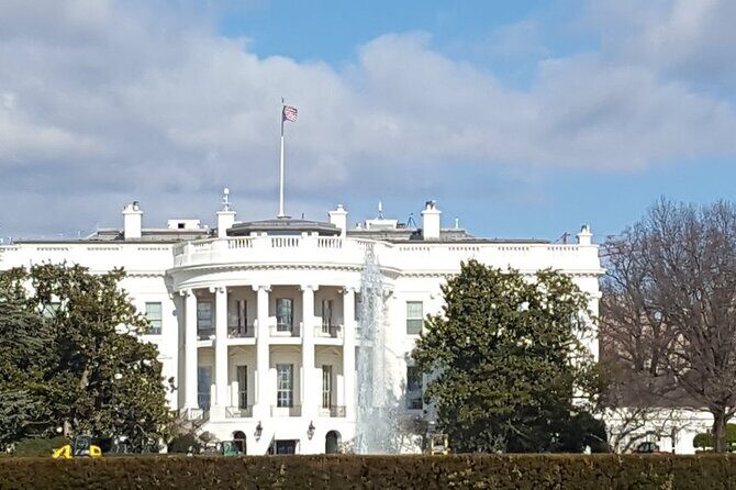 visit Us capitol+ DC Morning Bus Tour with cherry blossom - Analyzing the Value and Suitability