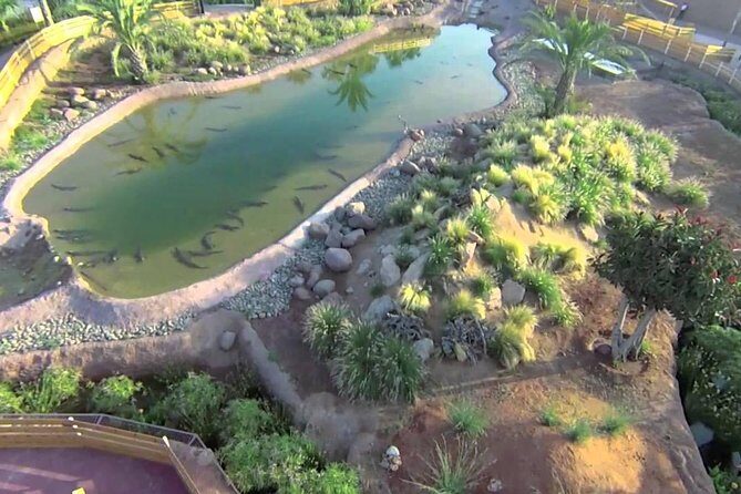 Visite the Crocodiles Park and Botanic garden - What Travelers Are Saying