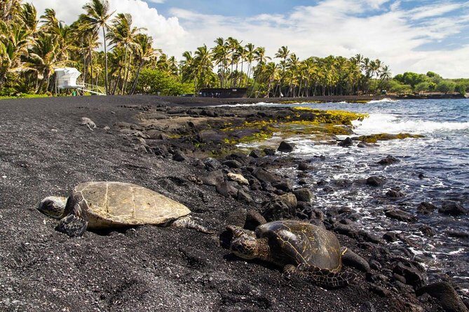 Volcano Tour from Kona - Exploring the Big Island’s Volcanoes and More