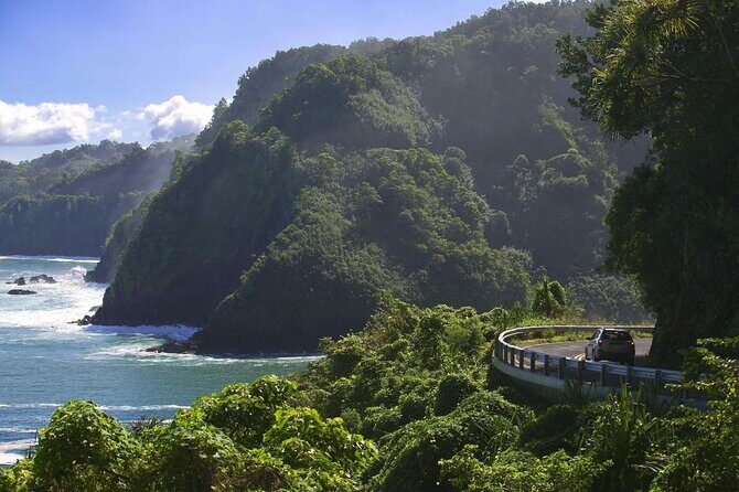 Voted #1 on Maui. VIP, Private Road to Hana backstage pass tour - Key Points