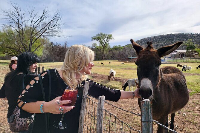 Voted Best in Sedona-Cheapest Private Wine Tour in town! - Final Thoughts