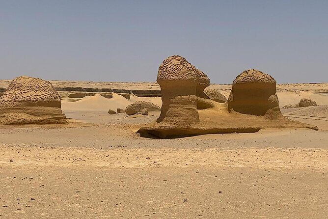 Wadi Al Hitan Day Trip From Cairo - The Scenic Drive and Wadi El Rayan