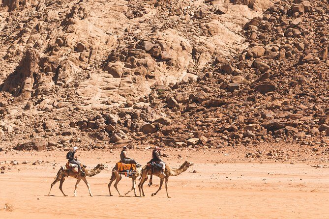 Wadi Rum: Camel Trek Adventure - Who Should Consider This Tour?