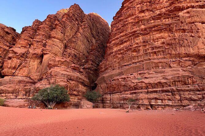Wadi Rum Short Tours - What the Reviews Say
