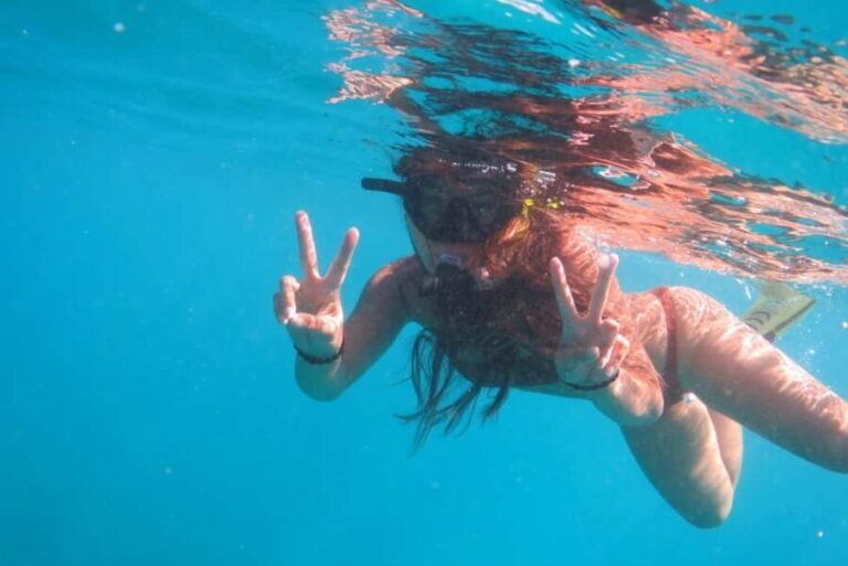 Waikiki: AM Paradise Honu Snorkeling - Introduction to Waikiki’s Snorkeling Adventure