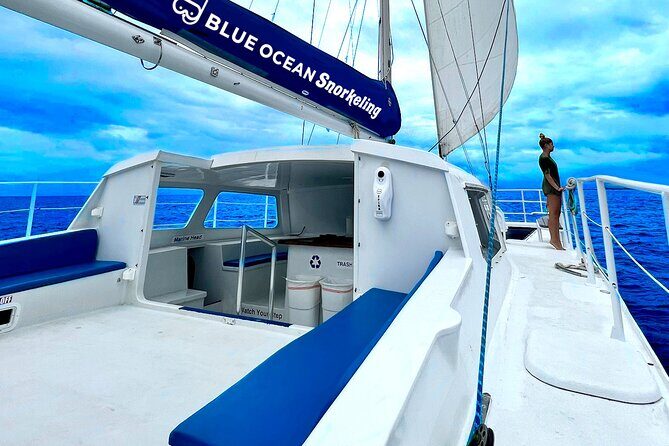Waikiki Catamaran Escape: Snorkel with Turtles & Water Sports Fun - The Itinerary: What to Expect on the Water