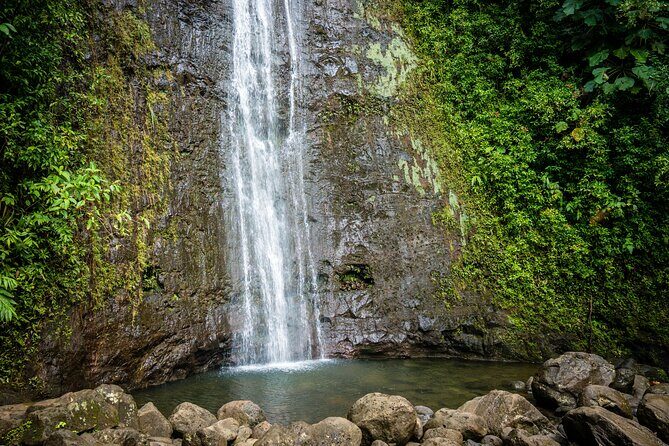 Waikiki Electric Bike Self Guided Tour- Manoa Falls Bike and Hike - The Balance of Pros and Cons