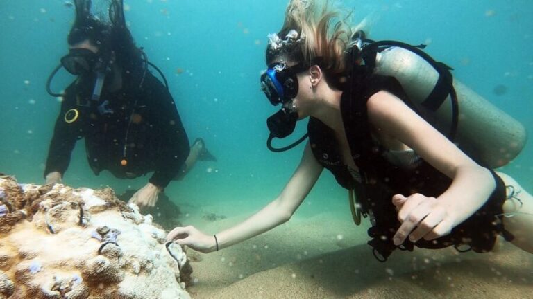 Waikiki: Honolulu Beginner Scuba Diving with Videos - The Guides and Group Experience