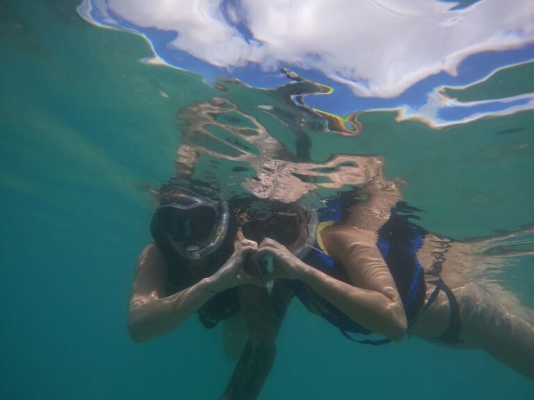 Waikiki: Honolulu Beginner Snorkeling Tour with Videos - What Makes This Tour a Great Value