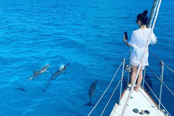 Waikiki small group turtle snorkeling & sailing - The Boat: Comfort and Intimacy