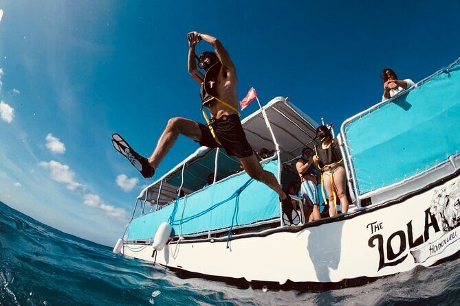 Waikiki Snorkel Tour - The Sum Up: Who Should Book This Tour?